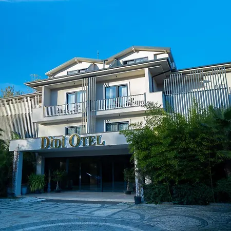 Didi
