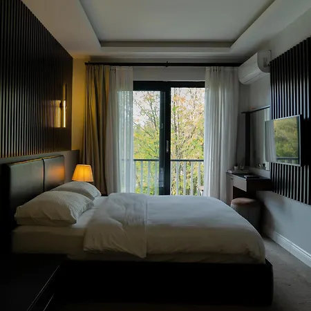 Didi 3* Сапанча